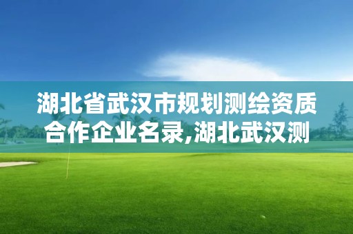 湖北省武漢市規劃測繪資質合作企業名錄,湖北武漢測繪公司排行榜。