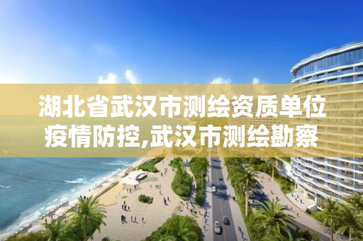 湖北省武漢市測繪資質單位疫情防控,武漢市測繪勘察設計甲級資質公司