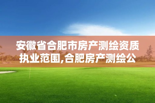 安徽省合肥市房產測繪資質執業范圍,合肥房產測繪公司。