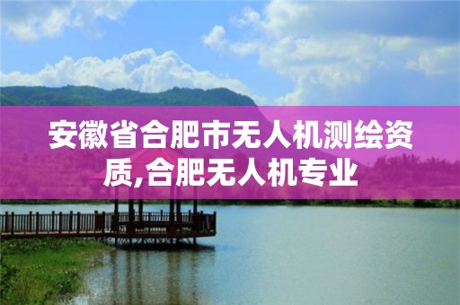 安徽省合肥市無人機測繪資質,合肥無人機專業