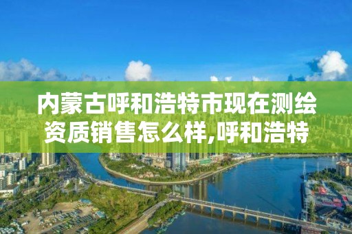 內蒙古呼和浩特市現在測繪資質銷售怎么樣,呼和浩特市勘察測繪研究院電話。