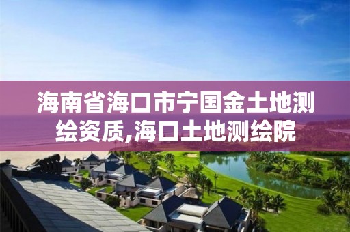 海南省海口市寧國金土地測繪資質(zhì),海口土地測繪院