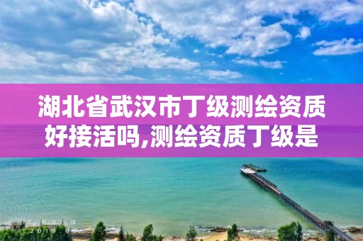 湖北省武漢市丁級測繪資質好接活嗎,測繪資質丁級是什么意思