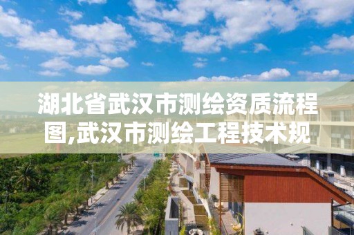 湖北省武漢市測繪資質流程圖,武漢市測繪工程技術規定