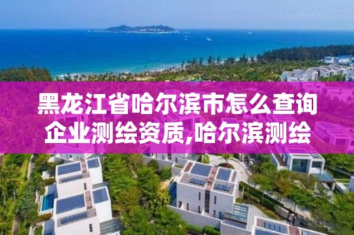 黑龍江省哈爾濱市怎么查詢企業(yè)測(cè)繪資質(zhì),哈爾濱測(cè)繪局屬于什么單位