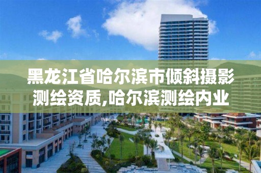 黑龍江省哈爾濱市傾斜攝影測繪資質,哈爾濱測繪內業招聘信息