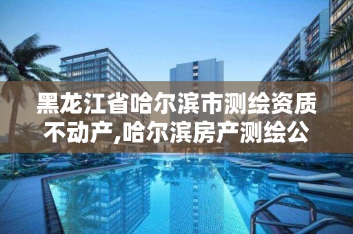 黑龍江省哈爾濱市測繪資質(zhì)不動產(chǎn),哈爾濱房產(chǎn)測繪公司電話