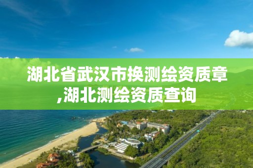 湖北省武漢市換測繪資質章,湖北測繪資質查詢