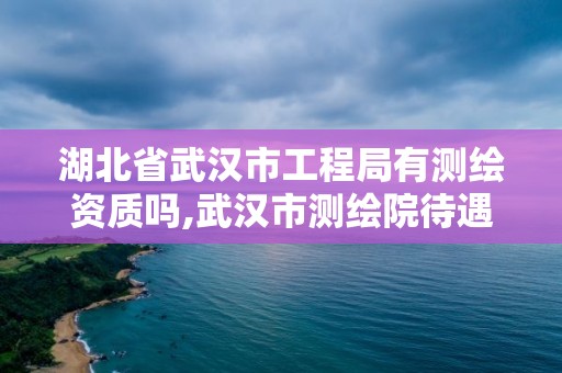 湖北省武漢市工程局有測繪資質嗎,武漢市測繪院待遇。