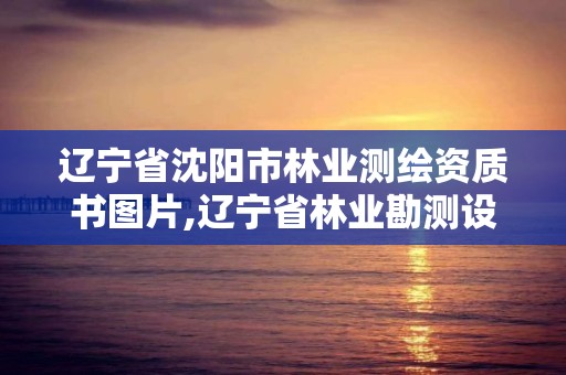 遼寧省沈陽市林業測繪資質書圖片,遼寧省林業勘測設計研究院