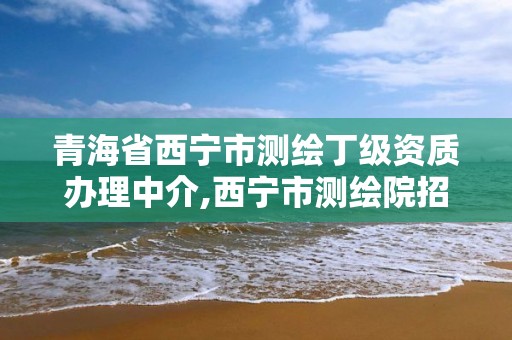 青海省西寧市測繪丁級資質辦理中介,西寧市測繪院招聘公示