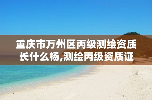 重慶市萬(wàn)州區(qū)丙級(jí)測(cè)繪資質(zhì)長(zhǎng)什么楊,測(cè)繪丙級(jí)資質(zhì)證書。