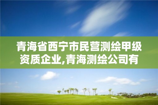 青海省西寧市民營測繪甲級資質(zhì)企業(yè),青海測繪公司有哪些