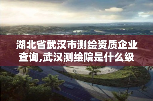 湖北省武漢市測繪資質企業查詢,武漢測繪院是什么級別