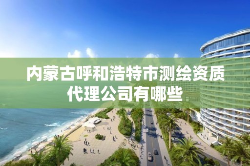 內蒙古呼和浩特市測繪資質代理公司有哪些