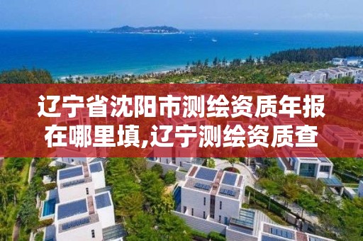 遼寧省沈陽市測繪資質年報在哪里填,遼寧測繪資質查詢