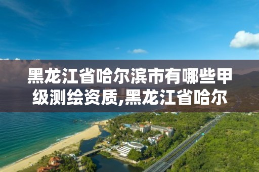 黑龍江省哈爾濱市有哪些甲級測繪資質,黑龍江省哈爾濱市有哪些甲級測繪資質的公司