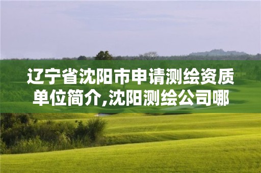 遼寧省沈陽市申請測繪資質單位簡介,沈陽測繪公司哪家強哪家好