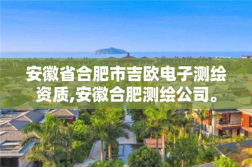 安徽省合肥市吉?dú)W電子測(cè)繪資質(zhì),安徽合肥測(cè)繪公司。