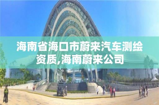 海南省海口市蔚來汽車測繪資質,海南蔚來公司