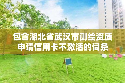 包含湖北省武漢市測繪資質申請信用卡不激活的詞條