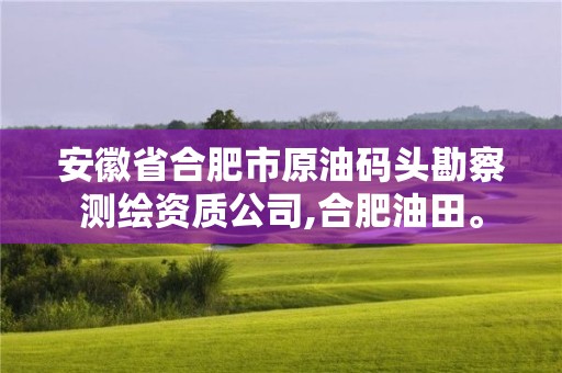 安徽省合肥市原油碼頭勘察測(cè)繪資質(zhì)公司,合肥油田。