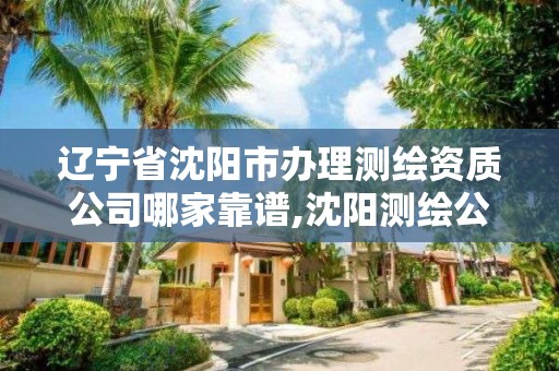 遼寧省沈陽市辦理測繪資質公司哪家靠譜,沈陽測繪公司有哪些。