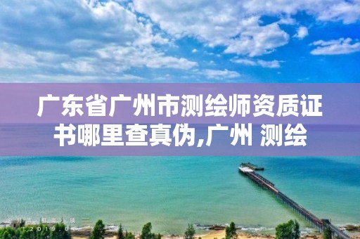 廣東省廣州市測繪師資質證書哪里查真偽,廣州 測繪