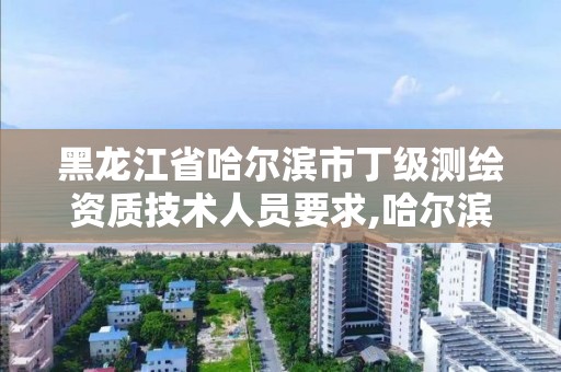 黑龍江省哈爾濱市丁級測繪資質技術人員要求,哈爾濱測繪局工資怎么樣。