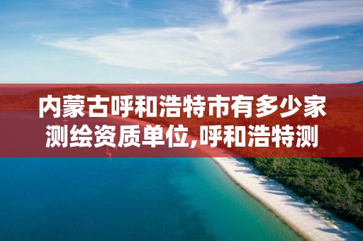 內蒙古呼和浩特市有多少家測繪資質單位,呼和浩特測繪有限公司