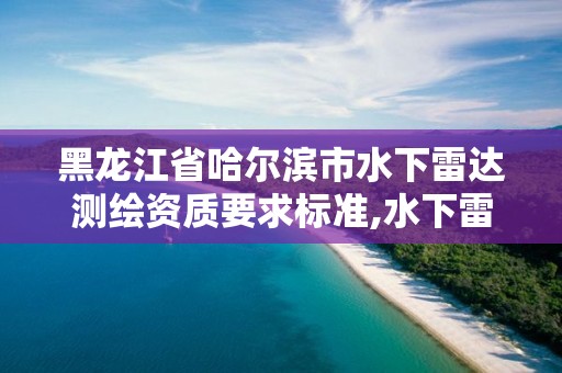 黑龍江省哈爾濱市水下雷達測繪資質要求標準,水下雷達實時成像。