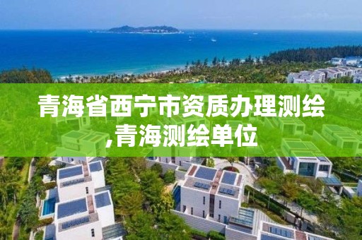 青海省西寧市資質(zhì)辦理測(cè)繪,青海測(cè)繪單位