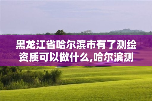 黑龍江省哈爾濱市有了測繪資質可以做什么,哈爾濱測繪地理信息局招聘公告。