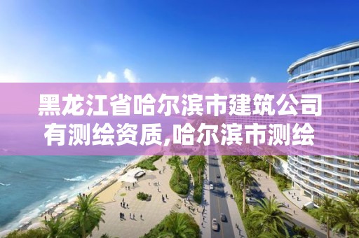 黑龍江省哈爾濱市建筑公司有測繪資質,哈爾濱市測繪院