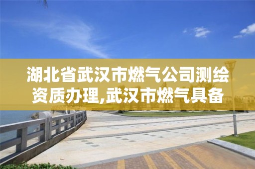 湖北省武漢市燃氣公司測繪資質辦理,武漢市燃氣具備案公示