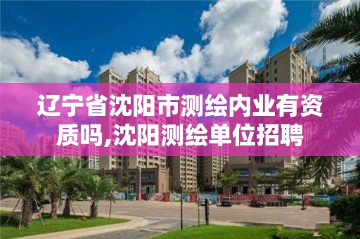 遼寧省沈陽市測繪內業有資質嗎,沈陽測繪單位招聘