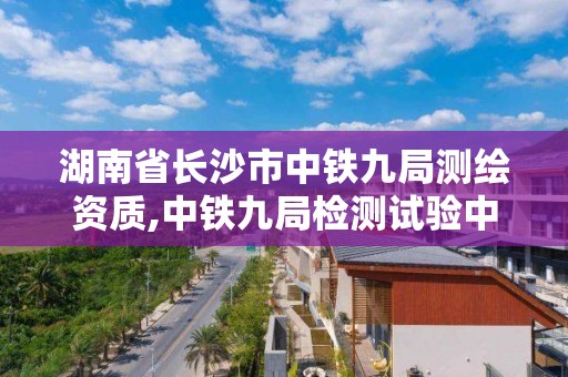 湖南省長沙市中鐵九局測繪資質,中鐵九局檢測試驗中心