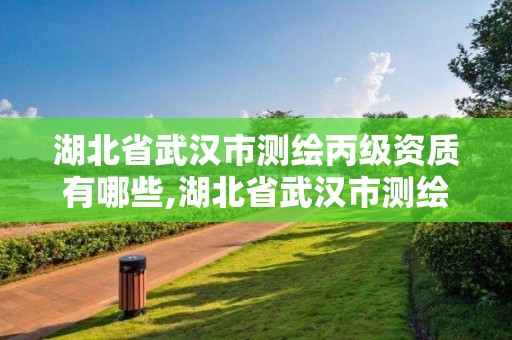 湖北省武漢市測繪丙級資質(zhì)有哪些,湖北省武漢市測繪丙級資質(zhì)有哪些企業(yè)