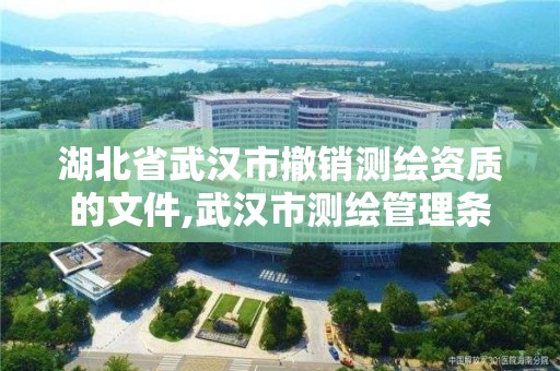 湖北省武漢市撤銷測繪資質的文件,武漢市測繪管理條例