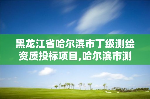 黑龍江省哈爾濱市丁級測繪資質投標項目,哈爾濱市測繪院