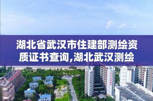 湖北省武漢市住建部測繪資質證書查詢,湖北武漢測繪局。