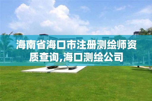 海南省?？谑凶詼y繪師資質查詢,?？跍y繪公司