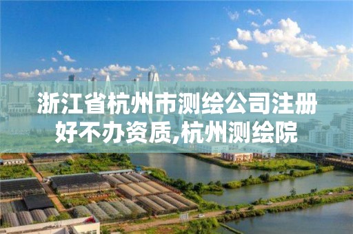 浙江省杭州市測繪公司注冊好不辦資質(zhì),杭州測繪院