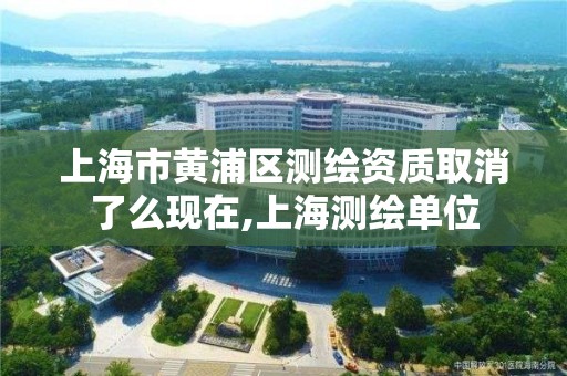 上海市黃浦區測繪資質取消了么現在,上海測繪單位