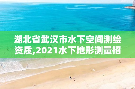 湖北省武漢市水下空間測繪資質(zhì),2021水下地形測量招標(biāo)