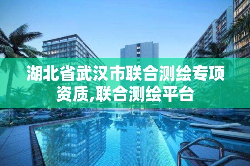 湖北省武漢市聯合測繪專項資質,聯合測繪平臺