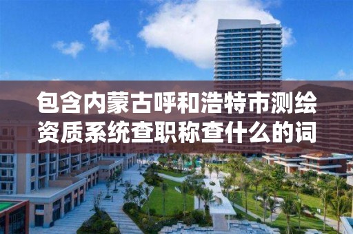 包含內蒙古呼和浩特市測繪資質系統查職稱查什么的詞條