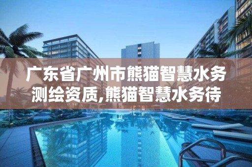 廣東省廣州市熊貓智慧水務測繪資質(zhì),熊貓智慧水務待遇很差