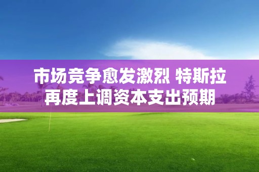 市場競爭愈發(fā)激烈 特斯拉再度上調(diào)資本支出預(yù)期