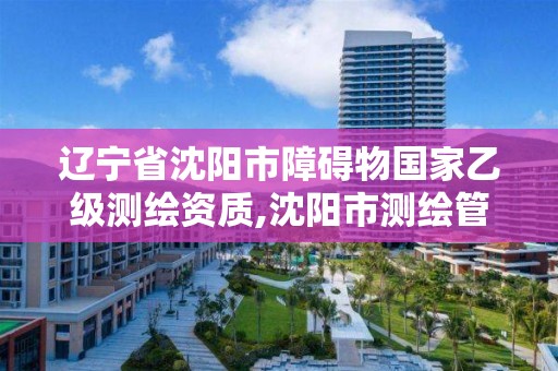 遼寧省沈陽市障礙物國家乙級測繪資質(zhì),沈陽市測繪管理辦公室